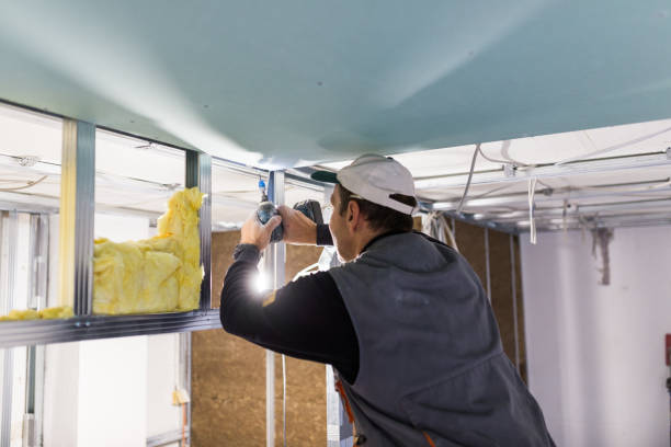 Best Insulation for Specific Applications in Saks, AL